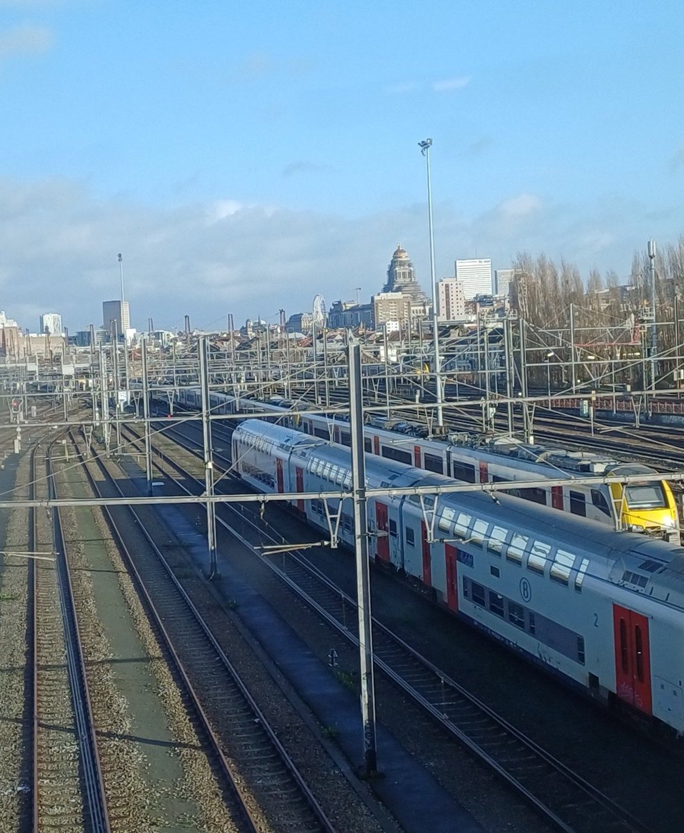 Armando J. CRUZ-LAUFER (@ajcruzlaufer) on Twitter photo View of Brussels from the Eurostar on Saturday on my way to the 2024 meeting of <a href="/BritishEcolSoc/">British Ecological Society</a> in Liverpool to present about #mangroves and #malaria. Now on my last leg towards Liverpool (after a small weekend stopover in Exeter). #GreenOfficeUHasselt View of Brussels from the Eurostar on Saturday on my way to the 2024 meeting of <a href="/BritishEcolSoc/">British Ecological Society</a> in Liverpool to present about #mangroves and #malaria. Now on my last leg towards Liverpool (after a small weekend stopover in Exeter). #GreenOfficeUHasselt