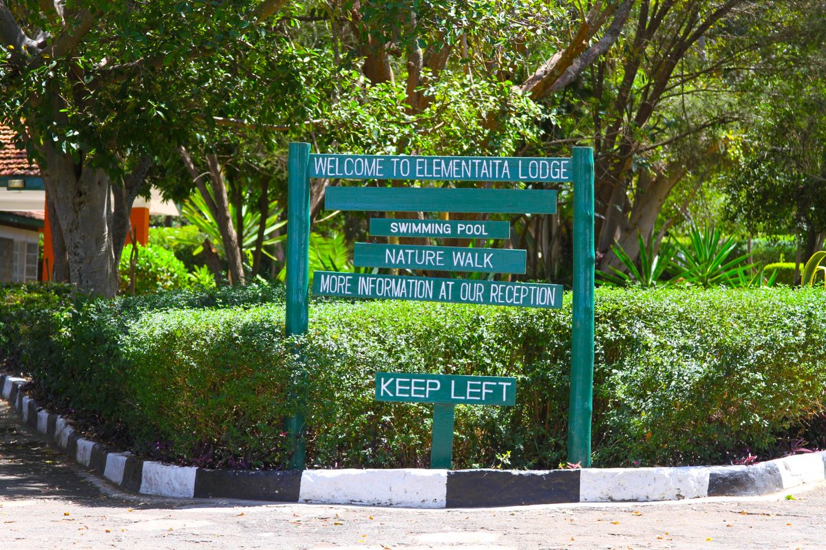 Celebrate the holiday season with breathtaking views and serene vibes at Lake Elementaita Lodge . Unwind, explore, and make memories that last a lifetime. Where nature’s beauty and tranquility meet, it’s the perfect spot to relax and reconnect.

#LakeElementaita #KenyaAdventure