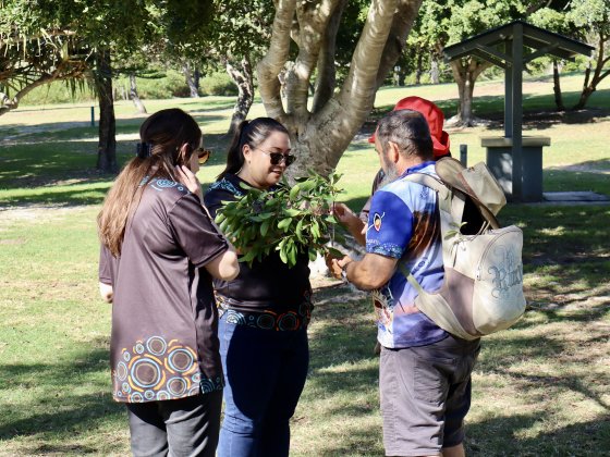 Teachers engage in the Culturally Nourishing Schooling program, instilling confidence in teachers and improving educational engagement of Aboriginal students. You can read more about this wonderful program on Storylines:

redfern.storylines.com.au/2024/11/25/fro…