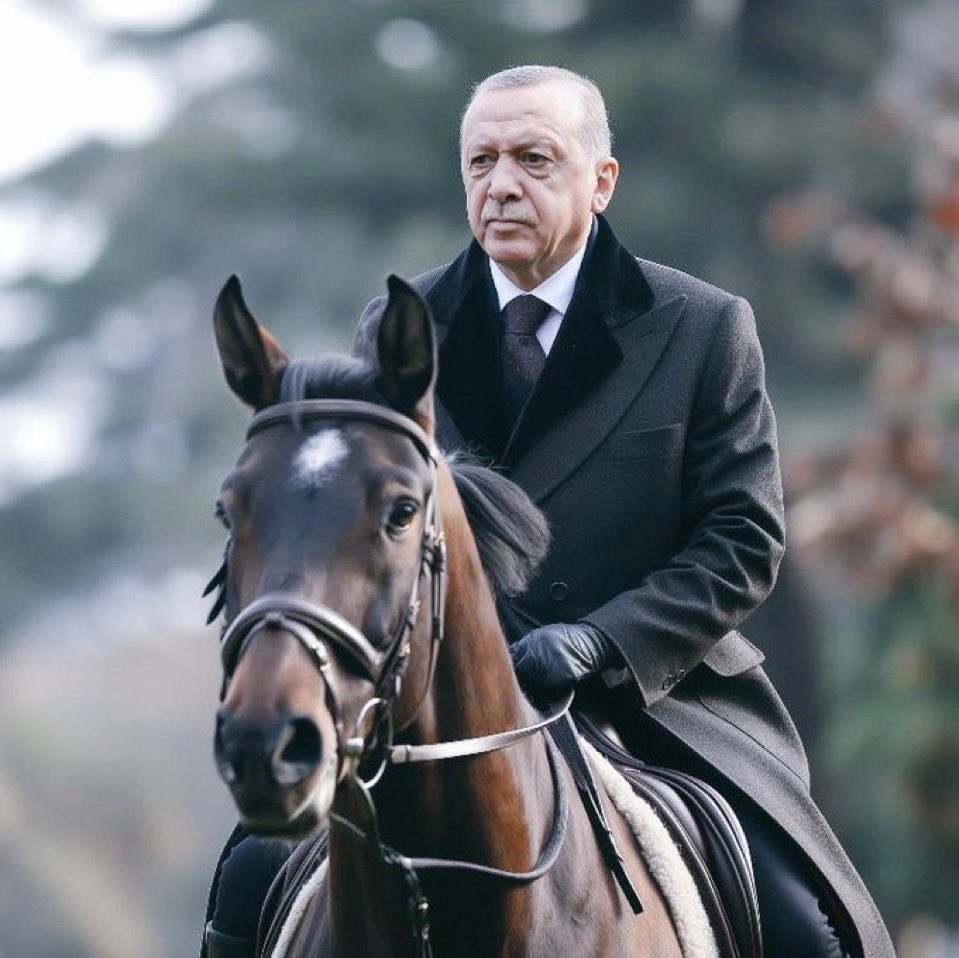 Yabancı hesapların "HERO" (kahraman) başlığıyla paylaştığı Cumhurbaşkanı Erdoğan fotoğrafı.