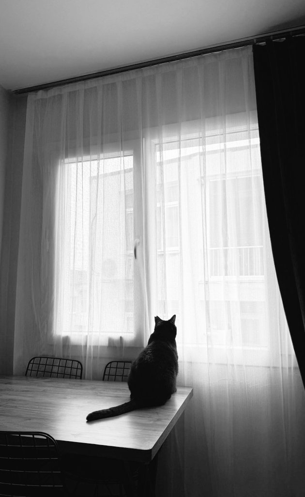 MuharremAltndas's tweet photo. Kaç kadeh kırıldı minnoş gönlümde... https://t.co/lD4MMXHR6w