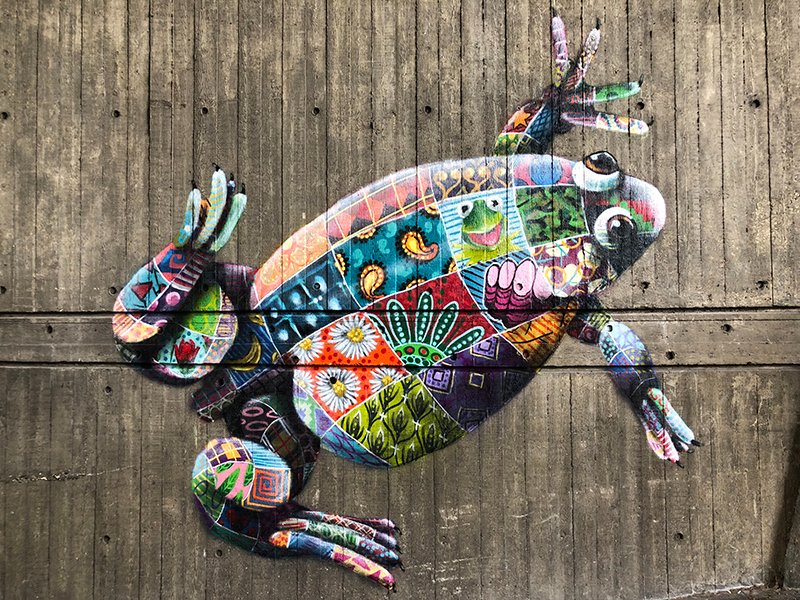 ZSL Library (@zsllibrary) on Twitter photo Our 9th day of #frogmas and as it is #streetartsaturday we are featuring a Lake Oku clawed frog by <a href="/louismasai/">Louis Michel</a>, part of an "Animals on the Edge" mural <a href="/zsllondonzoo/">London Zoo</a>
More about the critically endangered Lake Oku clawed frog on our website: zsl.org/support-us/bac… Our 9th day of #frogmas and as it is #streetartsaturday we are featuring a Lake Oku clawed frog by <a href="/louismasai/">Louis Michel</a>, part of an "Animals on the Edge" mural <a href="/zsllondonzoo/">London Zoo</a>
More about the critically endangered Lake Oku clawed frog on our website: zsl.org/support-us/bac…
