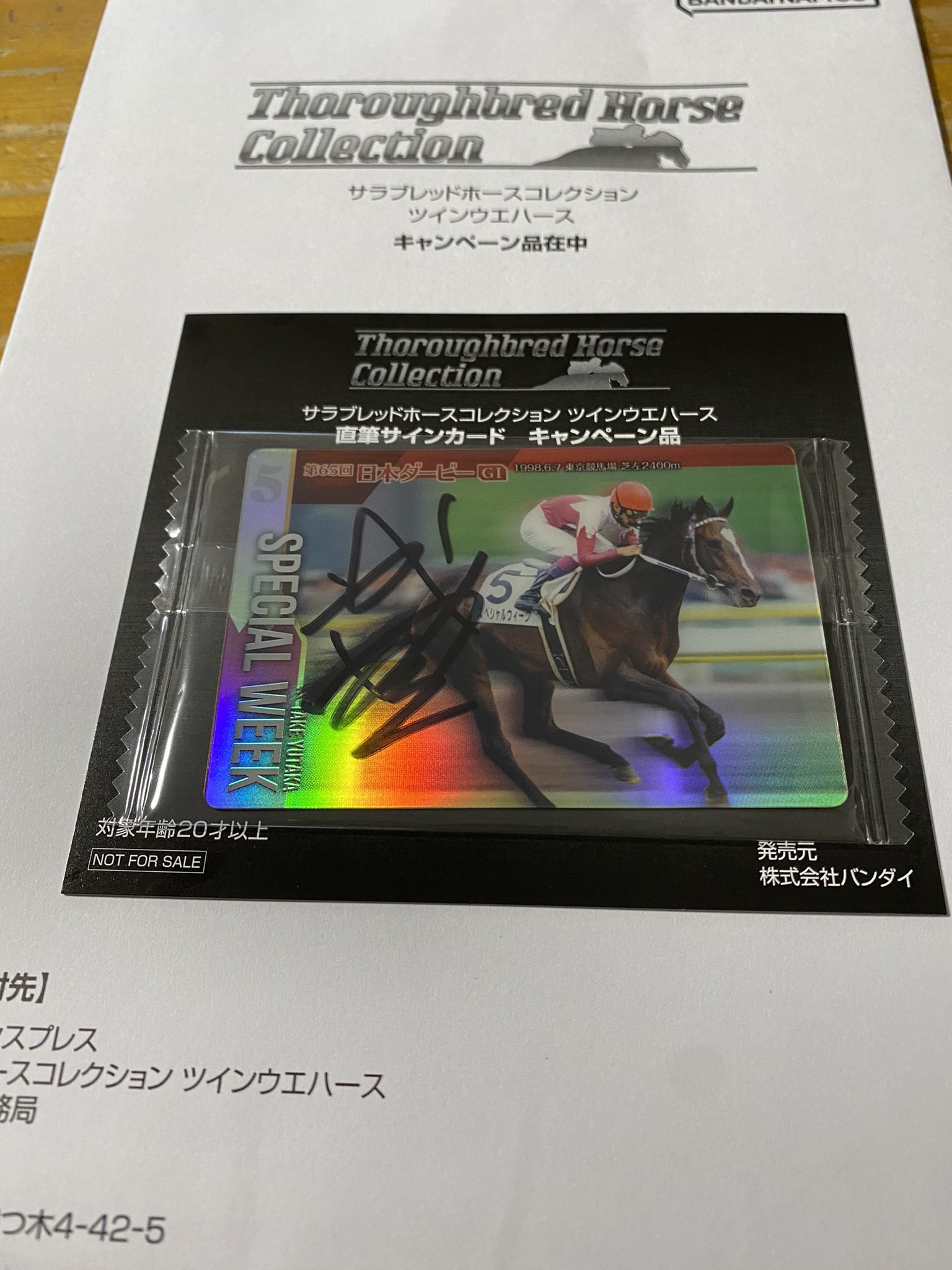 サラブレッドホースコレクション ソングライン池添謙一 サラブレッドホースコレクション ソングライン池添謙一 池添謙一