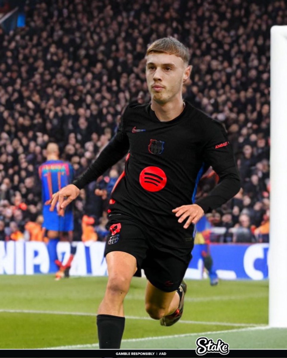 Berneese tweet media