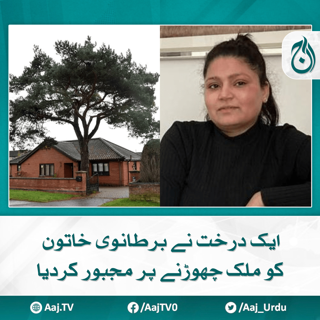 Aaj_Urdu's tweet image. خاتون گھر جانے سے خوفزدہ رہتی ہیں

مزید پڑھیے: aaj.tv/news/30427446/

#AajNews #Tree #BritishWoman #ForcedToLeaveCountry