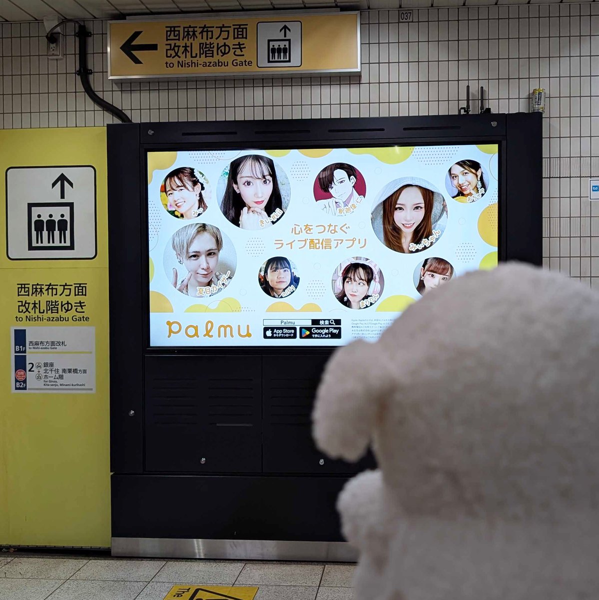 palmu_jp's tweet photo. ／
たいむが現地へ👜
10月開催「目指せ広告出演！六本木駅サイネージ広告編」の掲載開始！🎉
＼

入賞特典であるサイネージ広告を、現地に行けない方に代わってたいむが見に行ってきました👀✨

掲載期間：2024年12月9日(月)〜12月15日(日)
掲載箇所詳細：アプリ内お知らせをご確認ください。

※サイネージは人通りが多い場所にあるので、現地に行かれる際はマナーを守ってのご鑑賞をお願いいたします💓

#Palmu