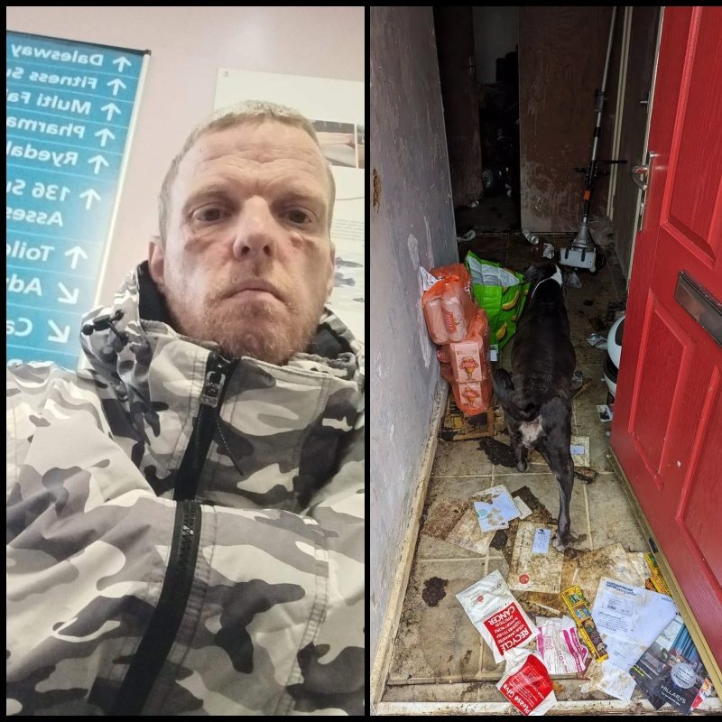 AdoptionsUk's tweet photo. Please retweet, CONVICTED | Paul Ashley Wilde. 41, from #Ormesby, #Middlesbrough - left his badly neglected elderly Staffy unattended in a bungalow littered with faeces, maggots and hundreds of empty lager cans 🌈🐶  - AVOIDS JAIL‼️ #UK 
Sentencing | lifetime ban from keeping any animal. Poppy, aged 14, suffered from a number of untreated health issues and had suffered long-term neglect at the hands of her alcoholic owner Paul Wilde.  RSPCA Inspector Clare Wilson went to Wilde's property on November 9, 2023, after the charity received reports of an unattended dog.  
When she arrived she spoke to neighbours who told her that Wilde had been taken to hospital and the bungalow had been left unlocked so people could get in and out to attend to the dog. In her written evidence to the court the inspector said: “It was immediately obvious that the bungalow was in a terrible state. There were faeces and urine all over the floors which we couldn’t avoid standing on. 
There was also an enormous amount of rubbish everywhere and hundreds of beer cans piled up, especially in the living room of the property. “There were flies and maggots all over a takeaway container in the living room, no windows open to provide ventilation and a disgusting smell. 
There was no food or water down for the dog and I didn’t see any bowls. There was only a very dirty mop bucket full of brown liquid which was not suitable for the dog to drink.” Poppy was found in the house and followed the inspector outside. 
She had long claws on her paws and staining around the eyes. A black, smelly discharge was coming from both ear canals which looked infected and caused her to pull away when they were touched, the court was told. Concerned by her poor health and conditions inside the property, the inspector called the police to assist. 
Poppy was removed and subsequently placed into the care of an RSPCA fosterer while the charity investigated the incident. The dog was examined at a vet later that day who diagnosed her with a chronic ear infection, dental disease and irritated eyes. 
She was put on medication and subsequently needed her ear canals flushed out and several teeth extracted. In mitigation, the court was told the case had been a ‘wake up call’ for Wilde who had sought help for his drink addiction and had successfully completed rehabilitation and was now alcohol free. 
After she was found, Poppy was cared for in an RSPCA foster home and enjoyed life for almost a year. Sadly she developed mammary tumours and other age-related health problems and the decision was made by a vet to put her to sleep to prevent further suffering. 
Wilde pleaded guilty to two offences contrary to the Animal Welfare Act 2006 following the investigation and prosecution by the RSPCA.  
Speaking after the case had concluded, Inspector Wilson said: “Poppy was an elderly dog who needed extra special care in her twilight years, but she was living in a disgusting environment that wasn’t fit for humans or animals and her health issues hadn’t been addressed. I’m so glad she was signed over and got to enjoy life in a loving and comfortable foster home while we waited for this case to conclude." 
Details and credit to... https://t.co/acGEqaPVl8…

 #dogs #adoptdontshop @SeniorStaffy @LurcherSOS @rickygervais @APDAWG1 @HopeRescue @WWPdogs @GMB @lorraine @EamonnHolmes @ChrisGPackham @domdyer70 @dotslondon @marcthevet @PeterEgan6 @BBCNews @itvnews @WalesOnline @AlisonHammond @andreajenkyns @RosieDuffield1 @MissingPetsGB @DogLost_UK @Nightowl400 #adoptdontshop #England #Woking #Wales #Scotland @radioleary @DannyVet #PaulAshleyWilde

Please retweet so people know never to sell Paul Ashley Wilde a dog again‼️‼️