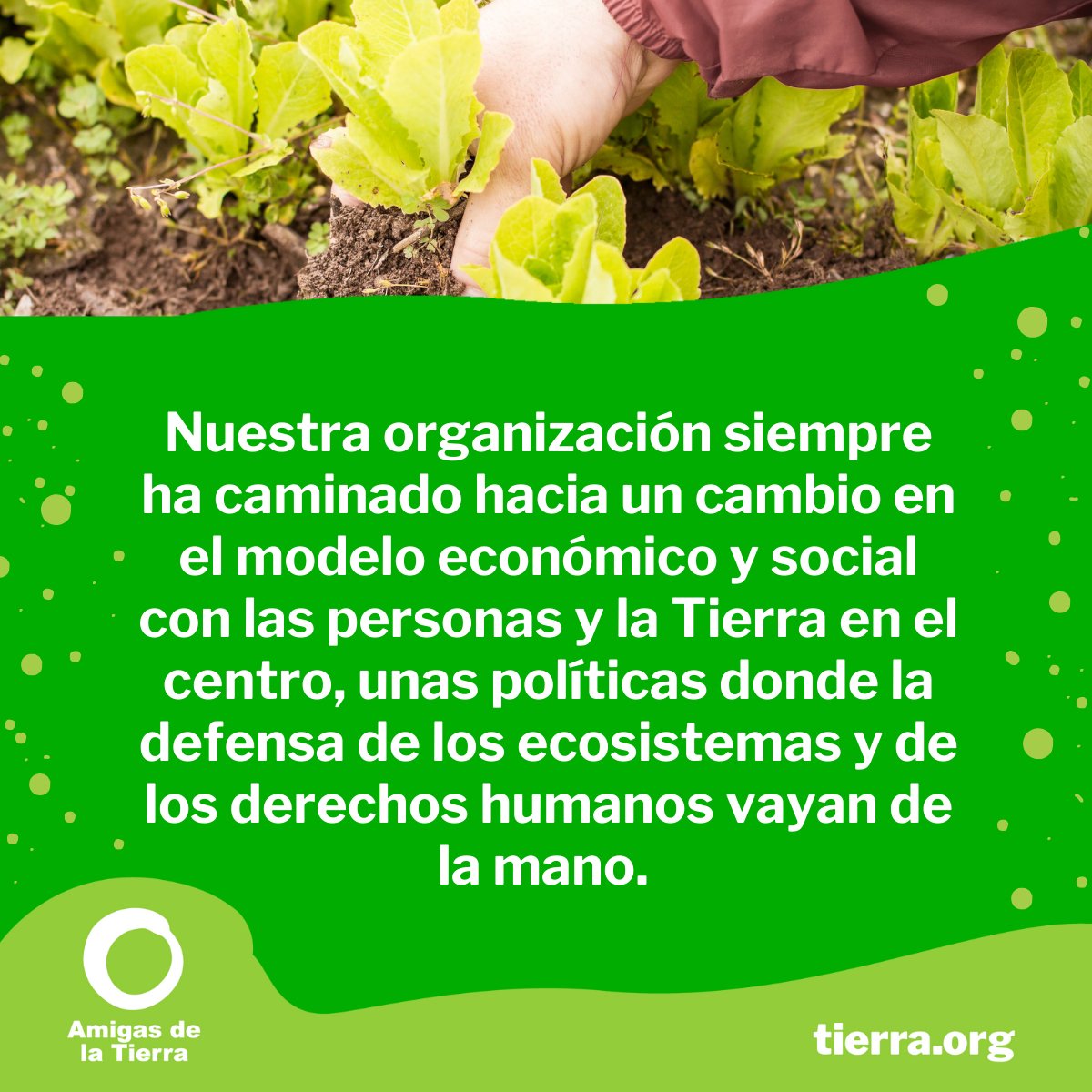 Somos parte del ecologismo social que defiende un cambio de sistema con las personas y la Tierra en el centro contribuyendo a blindar los derechos humanos y favorecer una vida digna para los pueblos. Somos #AmigasdelaTierra

tierra.org/somos-amigas-d…