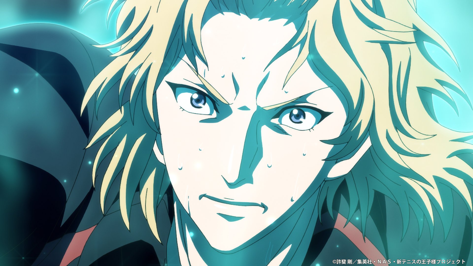 テニスの王子様 テニプリ ファイルセット 希少 犬 テニスの王子様 テニプリ ファイルセット 希少 犬