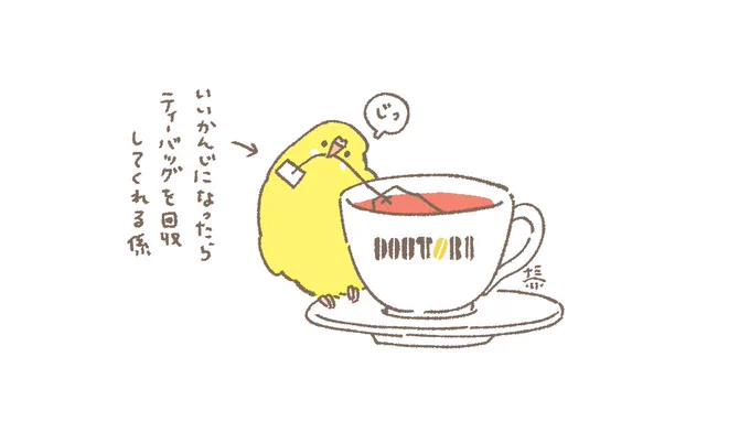 おはようございます☀️
週のまんなか12月11日(水)ですね。
休憩しながらいきましょうね☕️
#セキセイインコ 