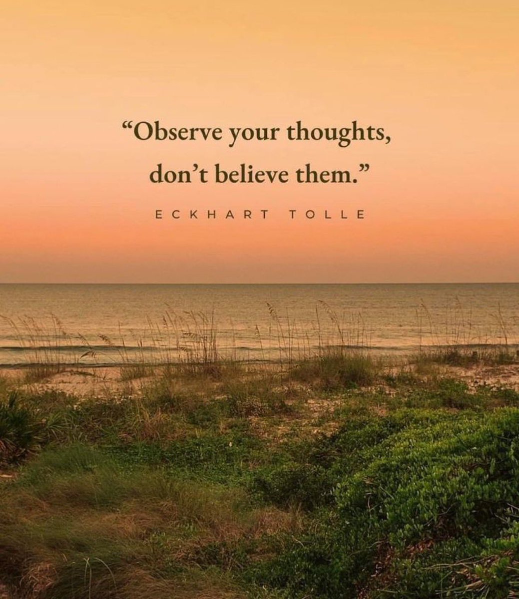 Collectifmind's tweet image. New week and that’s it.
#microdosing