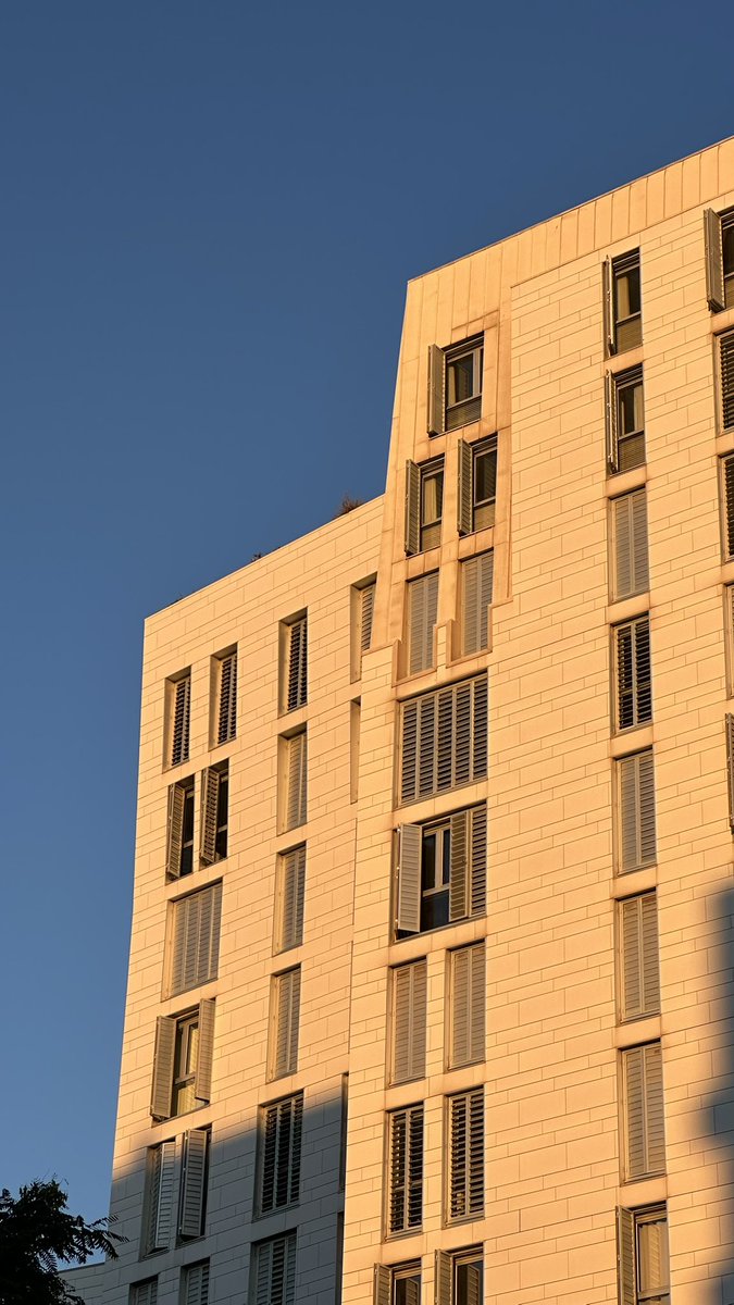 Collectifmind's tweet image. New week and that’s it.
#microdosing