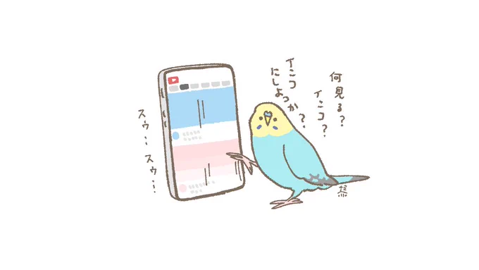 おはようございます☀️
好きな動画で元気回復したい12月12日(木)です。
昼休みは動画みちゃう📱
#セキセイインコ 