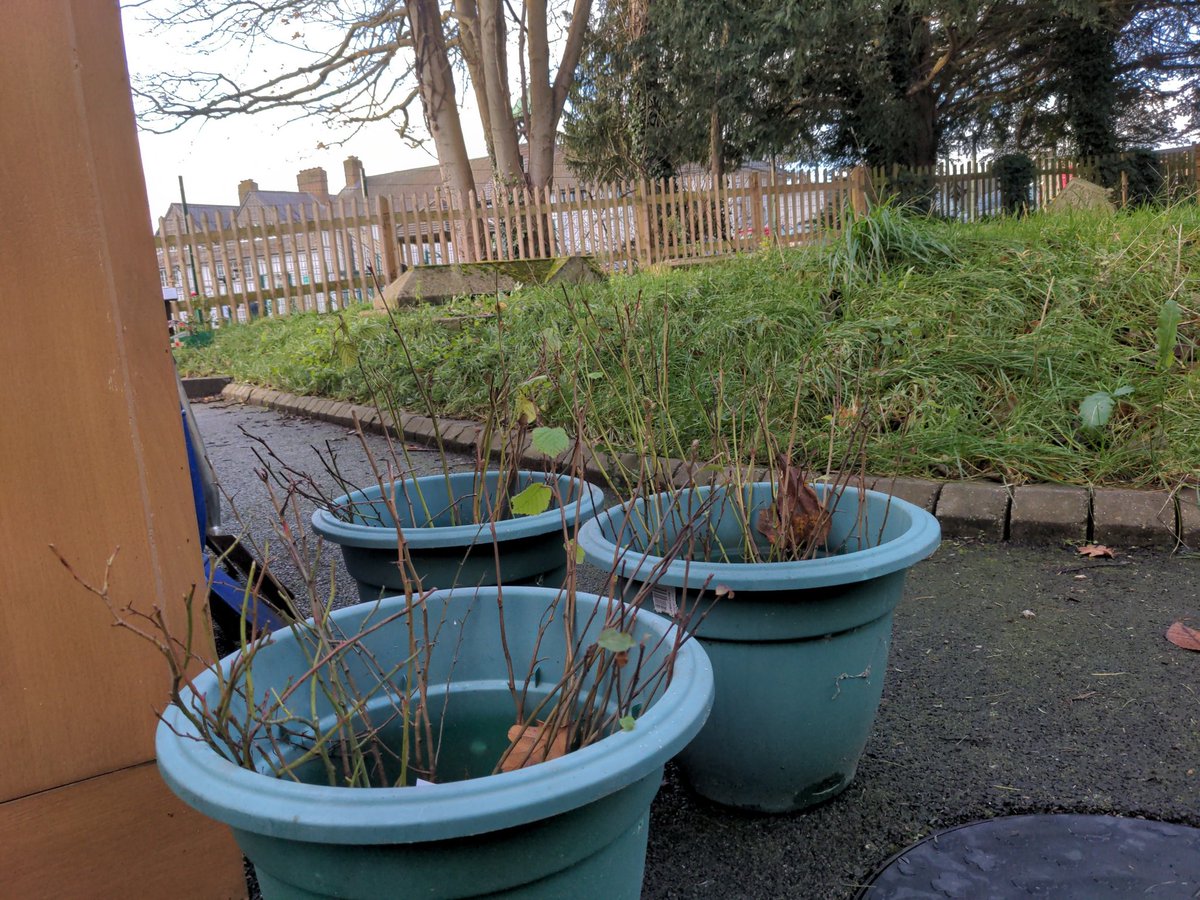 Alec Corio (@alec_corio) on Twitter photo I'm just about to do some hedge planting in the churchyard @smaryeastbarnet with children from St Mary's School <a href="/stalbansdioedu/">Diocese of St Albans Schools Team</a> <a href="/diostalbans/">The Diocese of St Albans</a> and trees from @WoodlandTrust
We're connecting being an eco-Church with our school's focus on both science and spirituality. I'm just about to do some hedge planting in the churchyard @smaryeastbarnet with children from St Mary's School <a href="/stalbansdioedu/">Diocese of St Albans Schools Team</a> <a href="/diostalbans/">The Diocese of St Albans</a> and trees from @WoodlandTrust
We're connecting being an eco-Church with our school's focus on both science and spirituality.