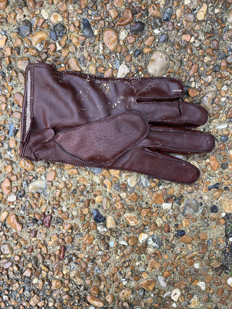 ⁦<a href="/singleglove/">lostglove</a>⁩ #Eastbourne