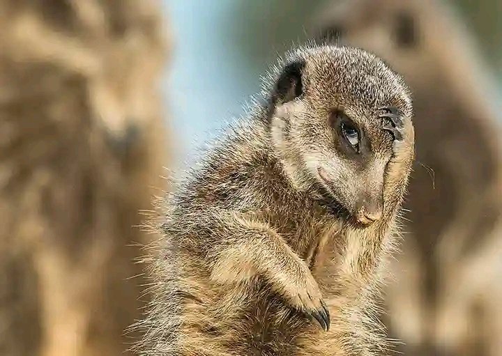 Remzinho29's tweet photo. Love is wicked, I wish you saw me ke kena ko ntlo ka 180km/h🤣😂🤣😂 thought my phn is ringing. Thank you @KhutsoTheledi #BreakAwayWithKhutsoTheledi  great playlist. We're dezembaring 💃💃🕺💃💃 https://t.co/Kp1AIM2lbj