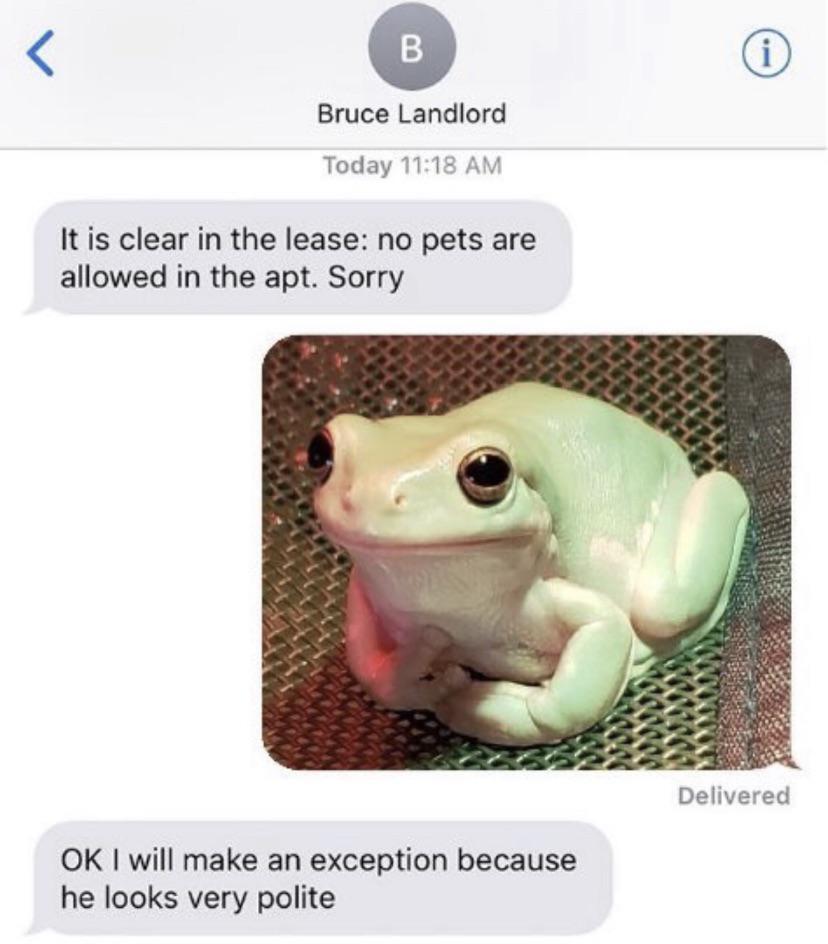 WholesomeMeme's tweet photo. https://t.co/iAR03sZSIL