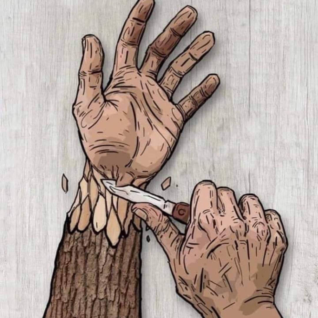 AdelAliBinAli's tweet photo. أحدُ اصدقاء المُلهمين قال لي يومًا
"الألم ينحت تفاصيل شخصيتك من لا يتألم، لا يُصنَع ...💚 https://t.co/i7CcHWkNhk
