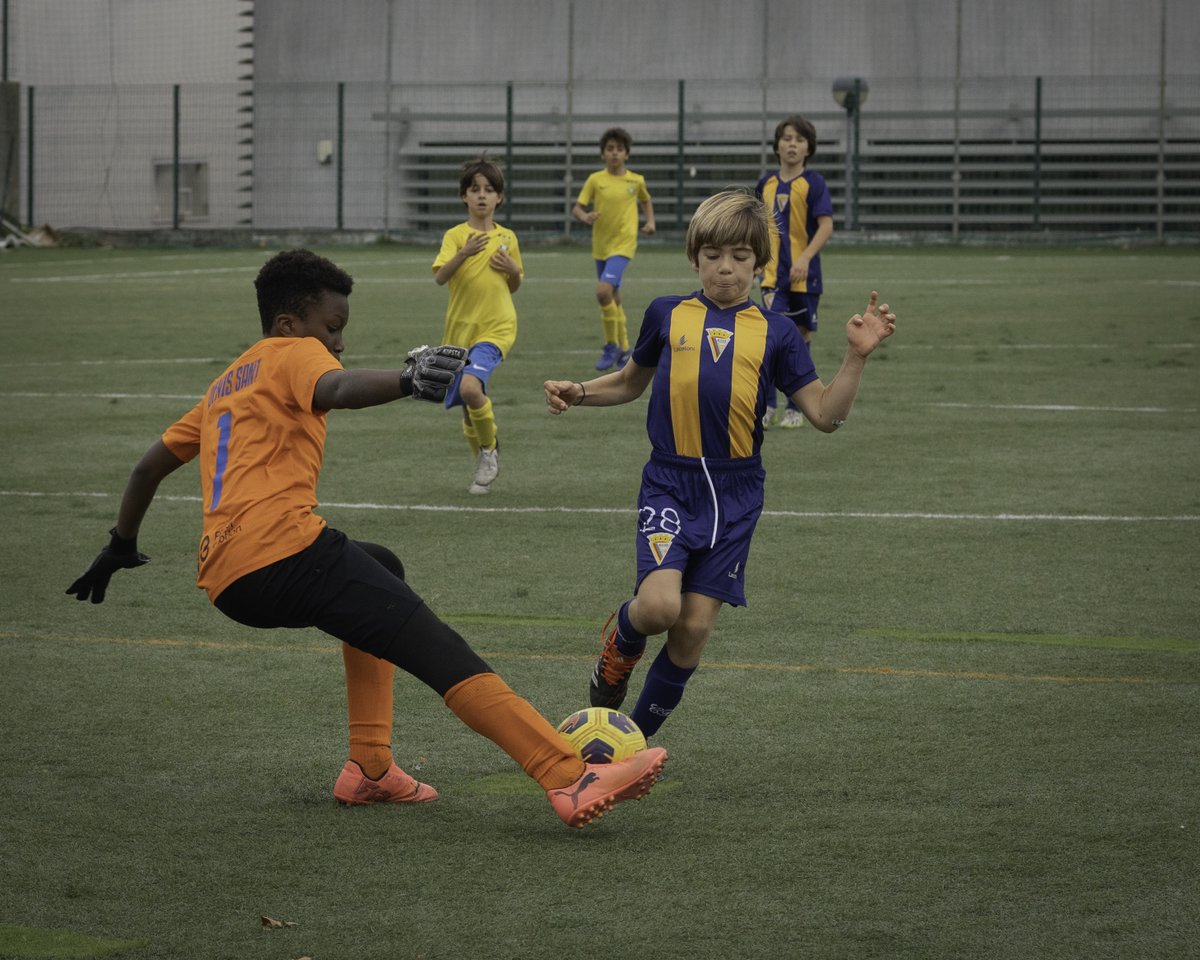 AtleticoCP1942's tweet image. ⚽️ | #MadeInAtletico 

#Sub11 - A construir o 𝐅𝐔𝐓𝐔𝐑𝐎 do Atlético! 🏗

𝐒𝐞𝐧𝐭𝐢𝐫 𝐞 𝐯𝐢𝐯𝐞𝐫 o que é o Atlético Clube de Portugal é a missão do Mister David Roxo com a equipa que lidera. 💛❤️💙

Um por todos e todos pelo Atlético! 👊

#SempreAtlético