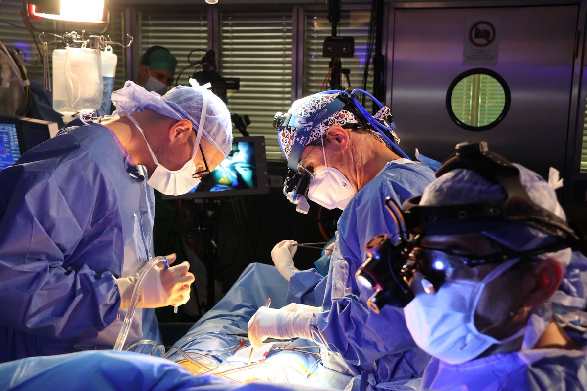 ☝ #Rückblick auf ein starkes #Event:
👉#ValveExperience letzte Woche am #DHZC👈
8 Live Cases: Minimal-invasive #Mitralklappenrekonstruktion, #Mitralklappen- und 
#Aortenklappenersatz &amp; #DAVID-OP. Internationale Bühne &amp; Spezialist:innen aus 11 Ländern ➡️ linkedin.com/feed/update/ur…