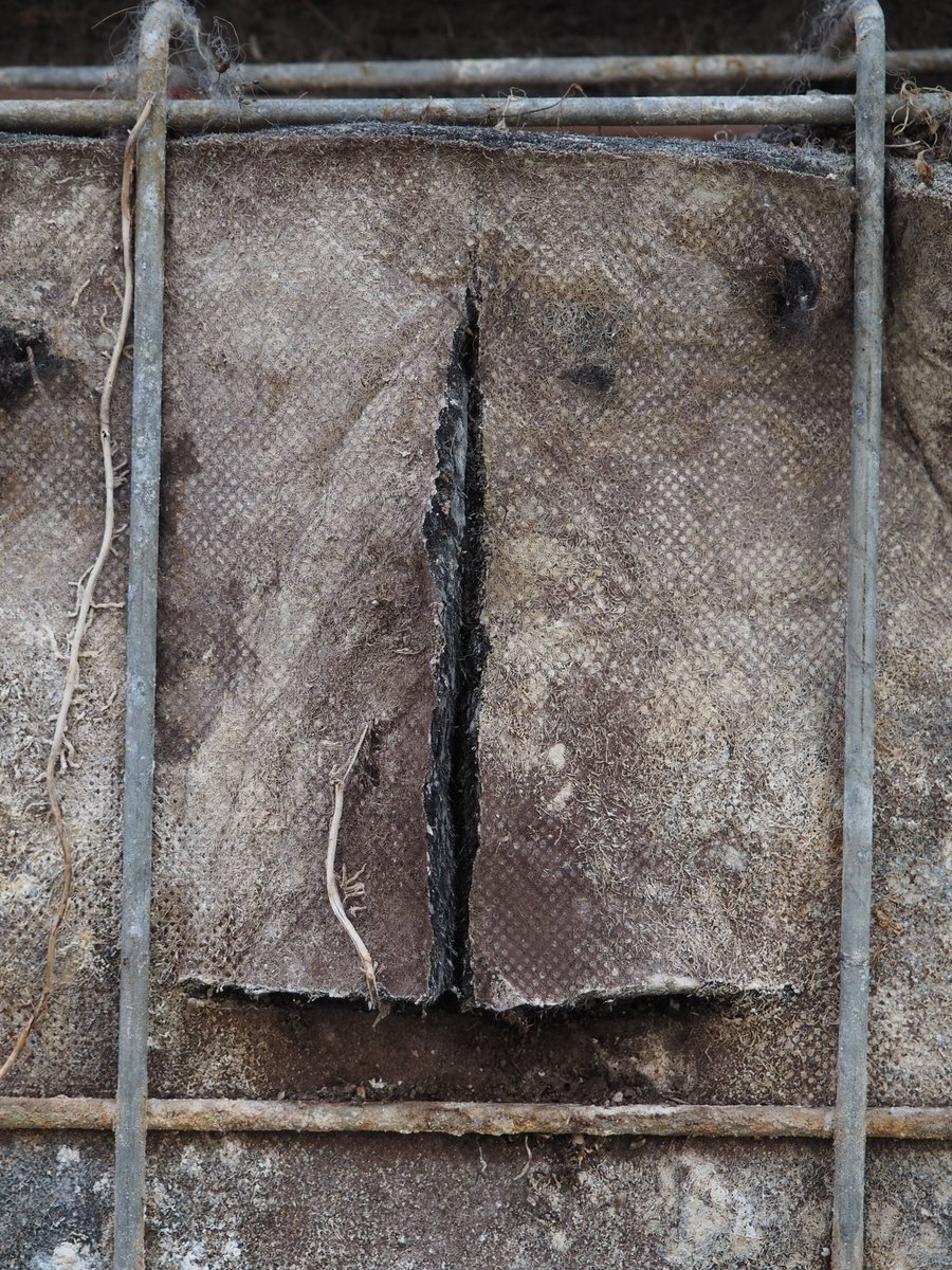 Dagmara Kraus' "mère nature désirriguée" shows a mistreated mother nature in urban context.

See the whole photo series in the #atlasofchange: 
🔗loom.allianceofacademies.eu/project/mere-n… 

🤝post in collaboration with  <a href="/cbamadrid/">Círculo de Bellas Artes - Casa Europa</a>