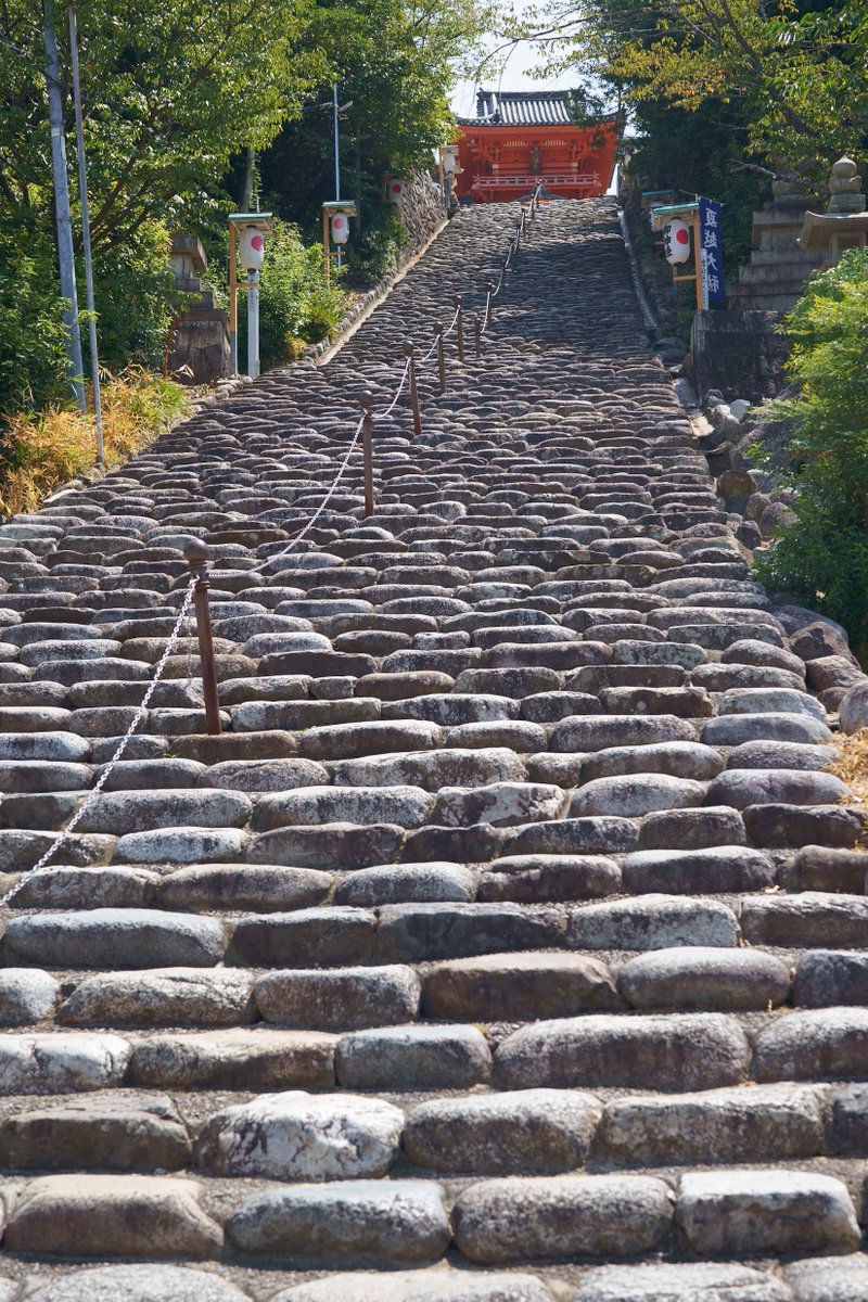 _fromage's tweet photo. 「がんばっていきまっしょい」

愛媛県松山市　伊佐爾波神社
20240814

映画『がんばっていきまっしょい』　篠村悦子

#ふろまふぉと https://t.co/bLWFdgpqq1