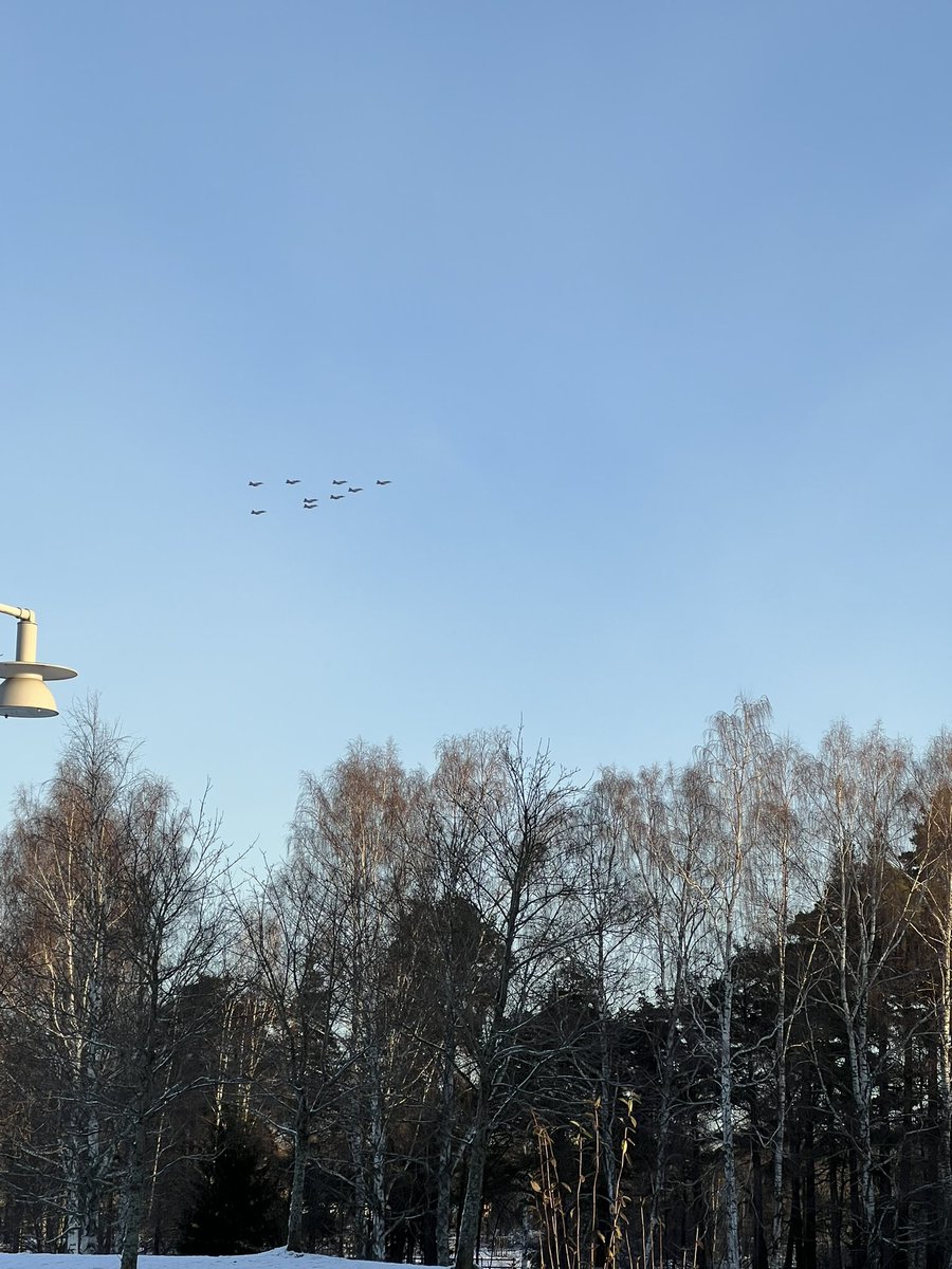 beckmansasikter's tweet image. Ljudet av fred och frihet 🇸🇪🇸🇪 #Gävle #F21