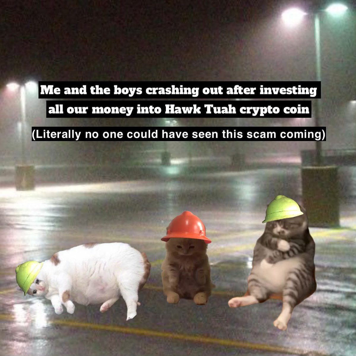 LEROY_C4's tweet photo. https://t.co/sS08pbZ0kc