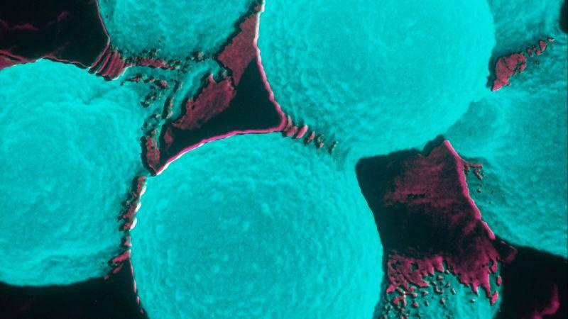 AdvancedAem's tweet photo. Fungi and lots of other nasty pathogens circulate in your HVAC systems,  Use ultraviolet light to deactivate 99% and make your facility healthier and a better place to work and live. #IAQ #UVC#SterilAire #UVGI https://t.co/ktavipTGCs