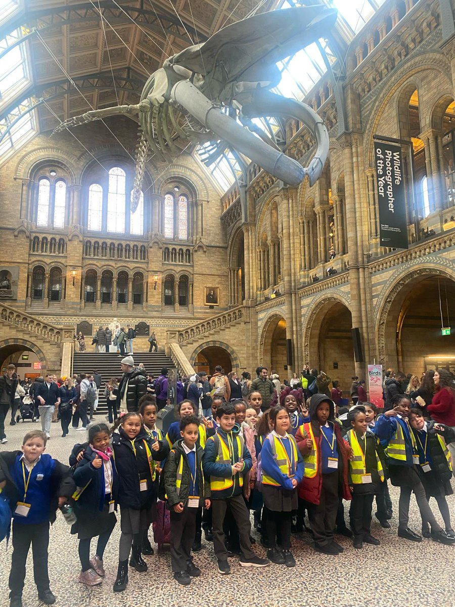 St Mary's RC Primary tweet media