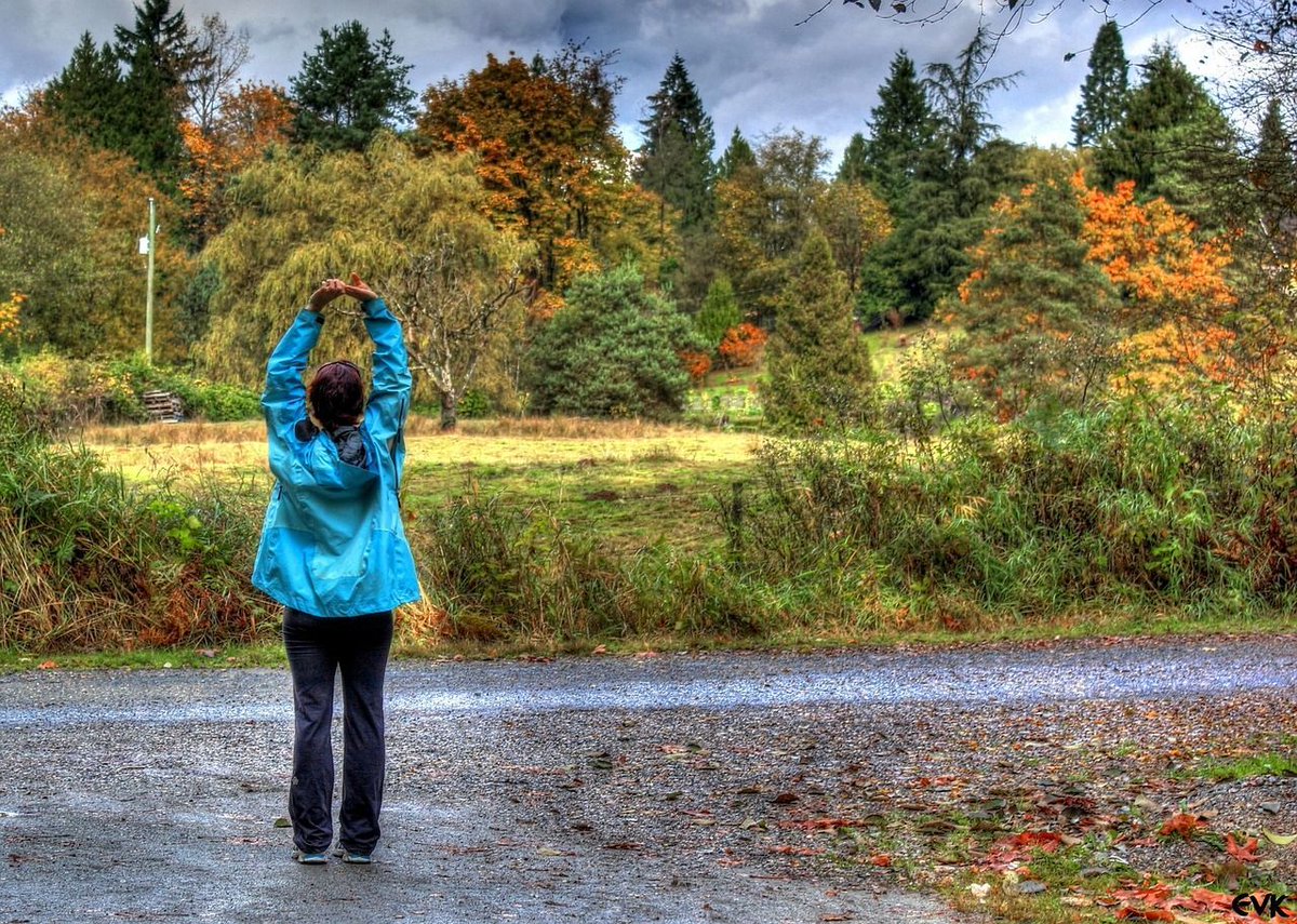All the shopping, wrapping, and socialising can leave your shoulders tight and your lower back aching. A few quick stretches can do wonders; check out the latest #blog for Jenny's favourites. buff.ly/3CVinSP 

#FestiveHealth #Wellbeing #Stretch
