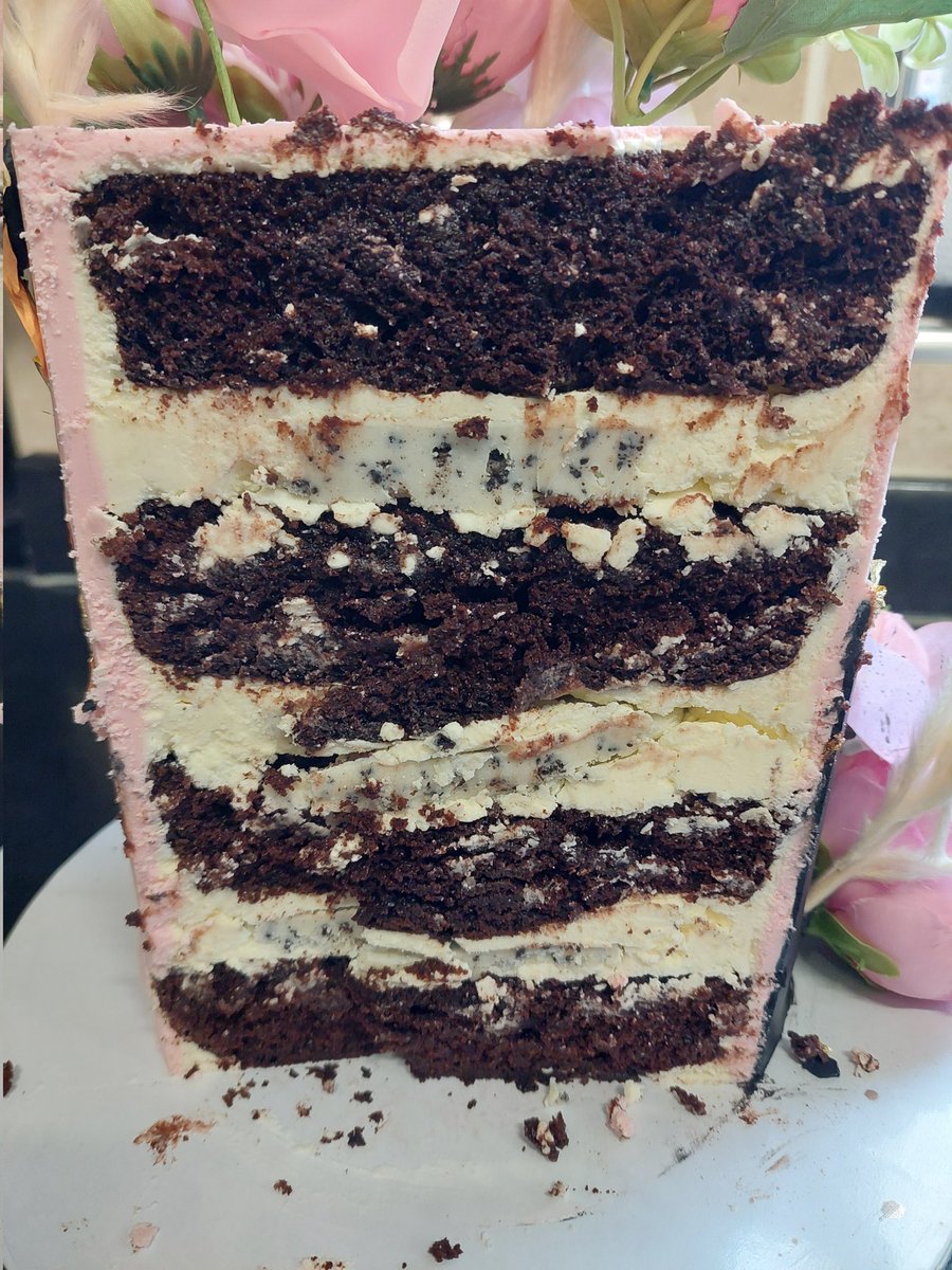 abstweets_'s tweet photo. My sister's birthday from yesterday... Chocolate cake with cookies and cream filling. https://t.co/1d5li3KgCn
