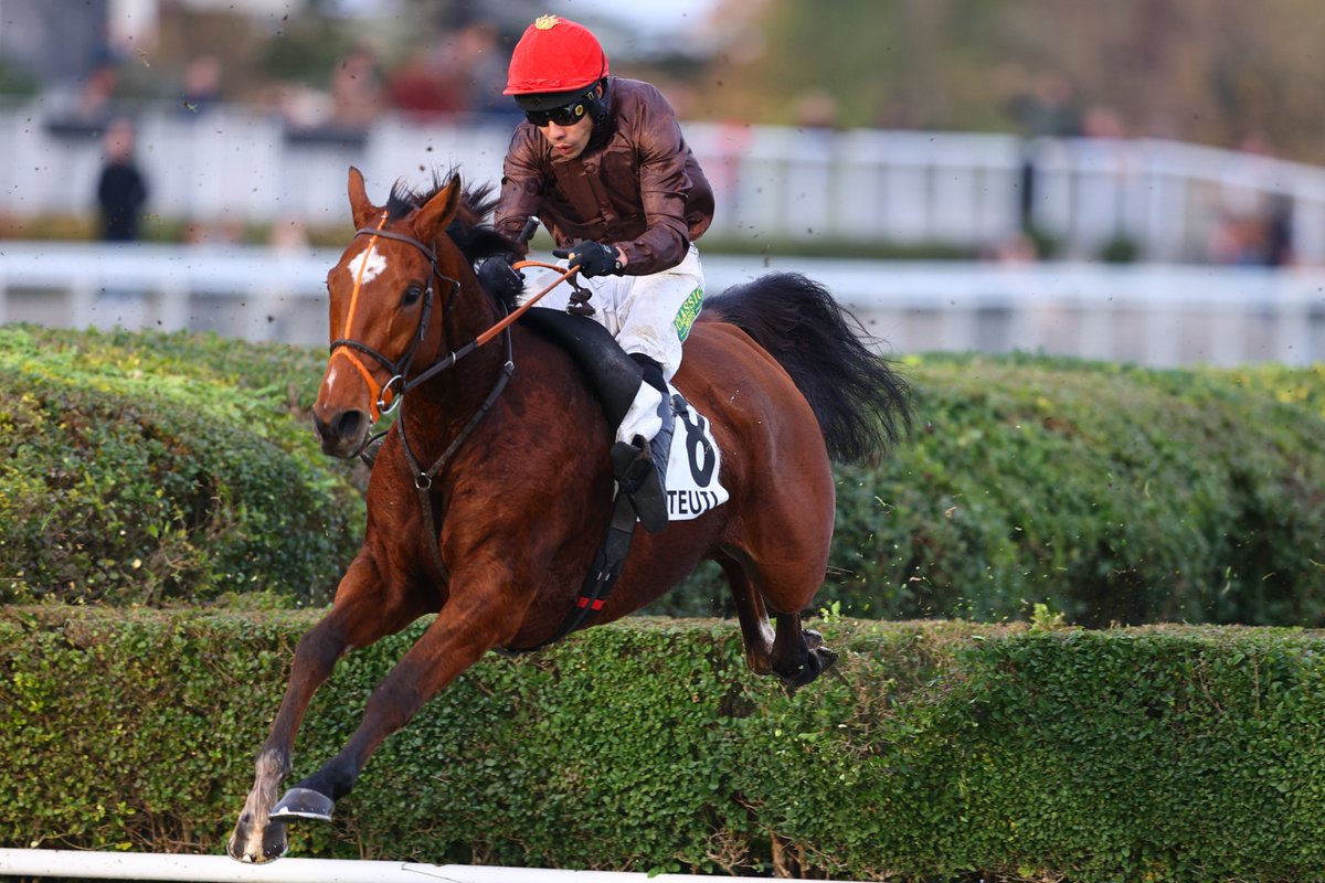 FRBC (@frbc_official) on Twitter photo 3rd in the Group 1 Prix La Haye Jousselin 2024, Juntos Ganamos is set to contest the King George VI Chase at <a href="/kemptonparkrace/">Kempton Park Racecourse</a> on December 27th 🇬🇧
#BreedinFrance #TraininFrance #OwninFrance 3rd in the Group 1 Prix La Haye Jousselin 2024, Juntos Ganamos is set to contest the King George VI Chase at <a href="/kemptonparkrace/">Kempton Park Racecourse</a> on December 27th 🇬🇧
#BreedinFrance #TraininFrance #OwninFrance
