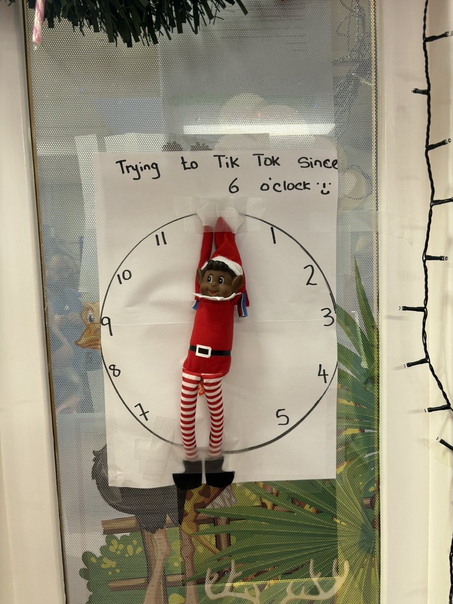 Abaigh Healy tweet media