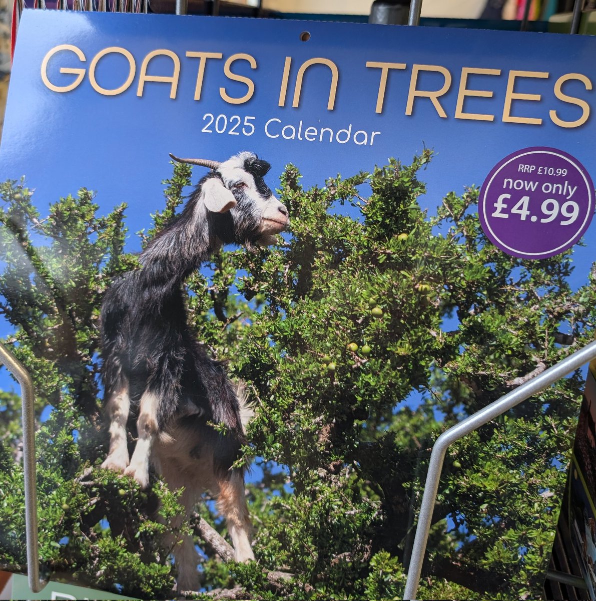 DeanCP08's tweet photo. The calendar I never knew I needed! #GoatsinTrees https://t.co/3PHVXefIGO