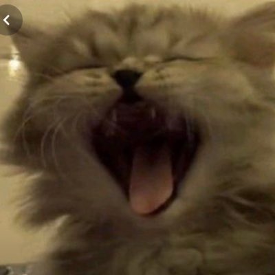 fukuvince's tweet photo. #NewProfilePic https://t.co/Lq9FZVZzvI