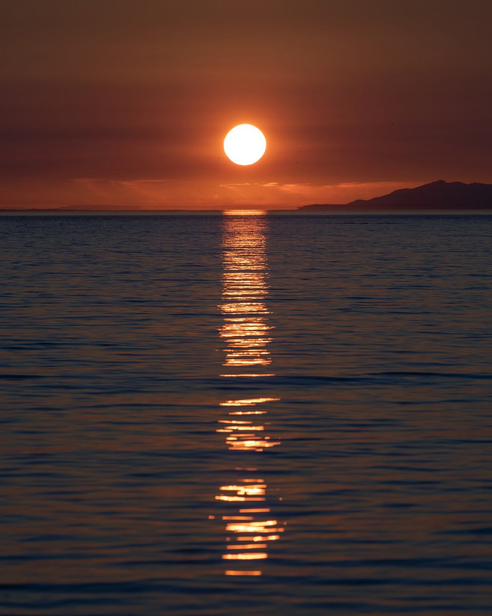 — sunset's golden embrace