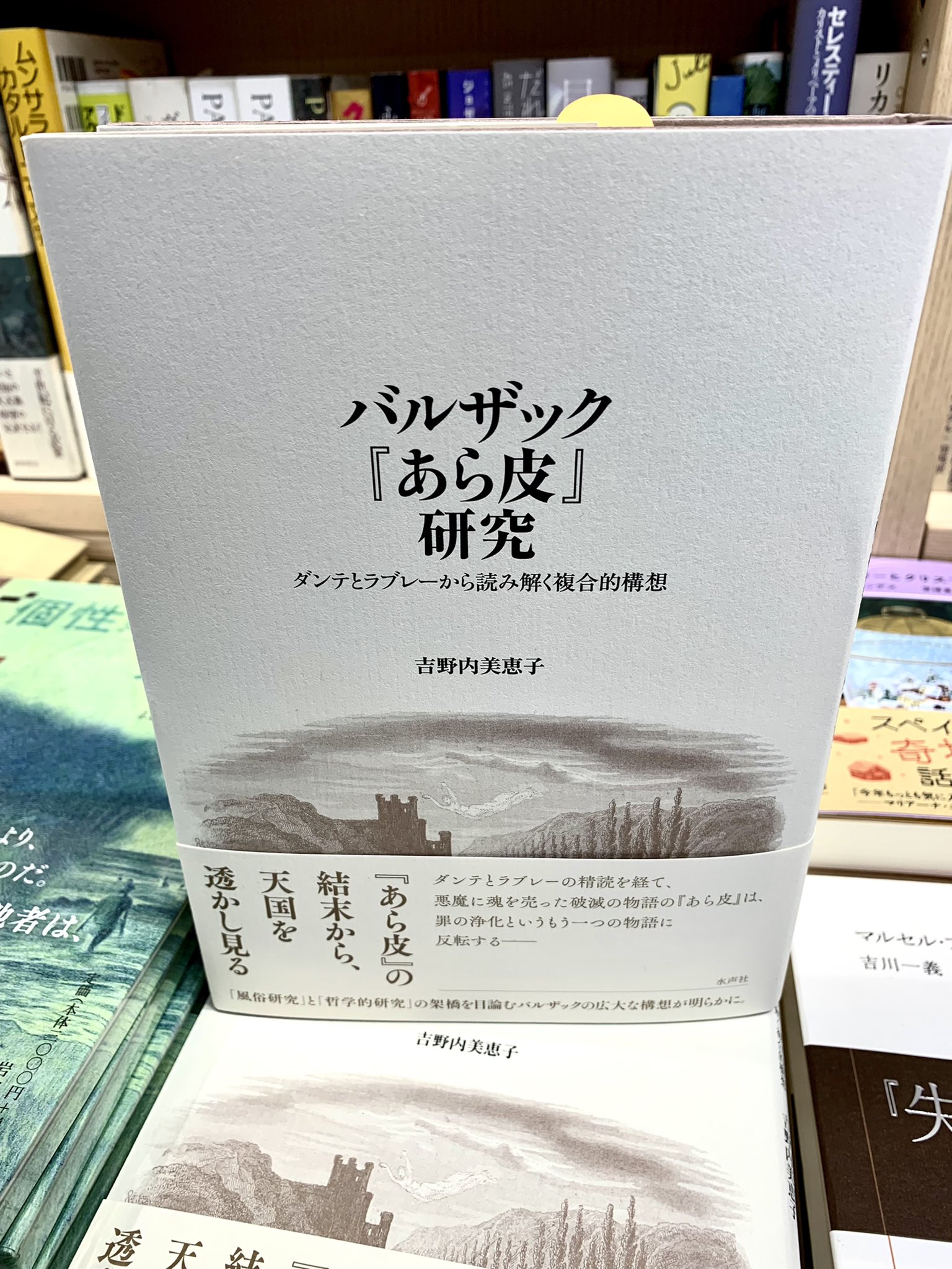 楽天ブックス: バルザック『あら皮』研究 - 吉野内美恵子