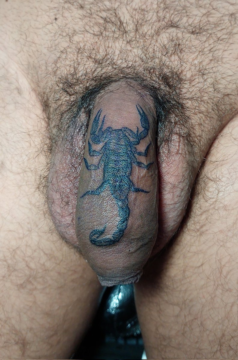 Un escorpión para este camarada.