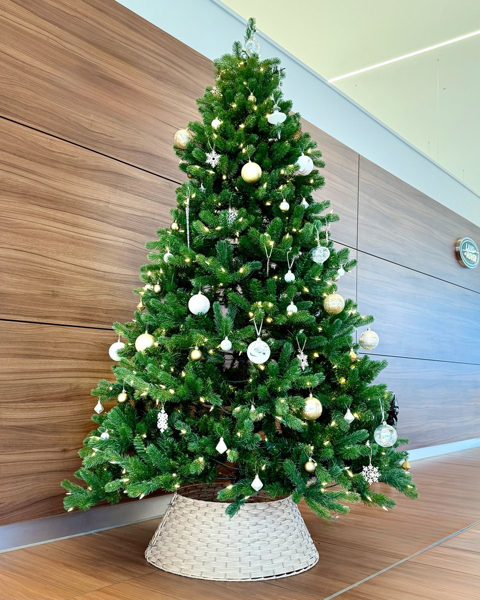 🎄✨ Our Showroom is Full of Festive Cheer! ✨🎄

#Magic #ChristmasCheer #FestiveSeason