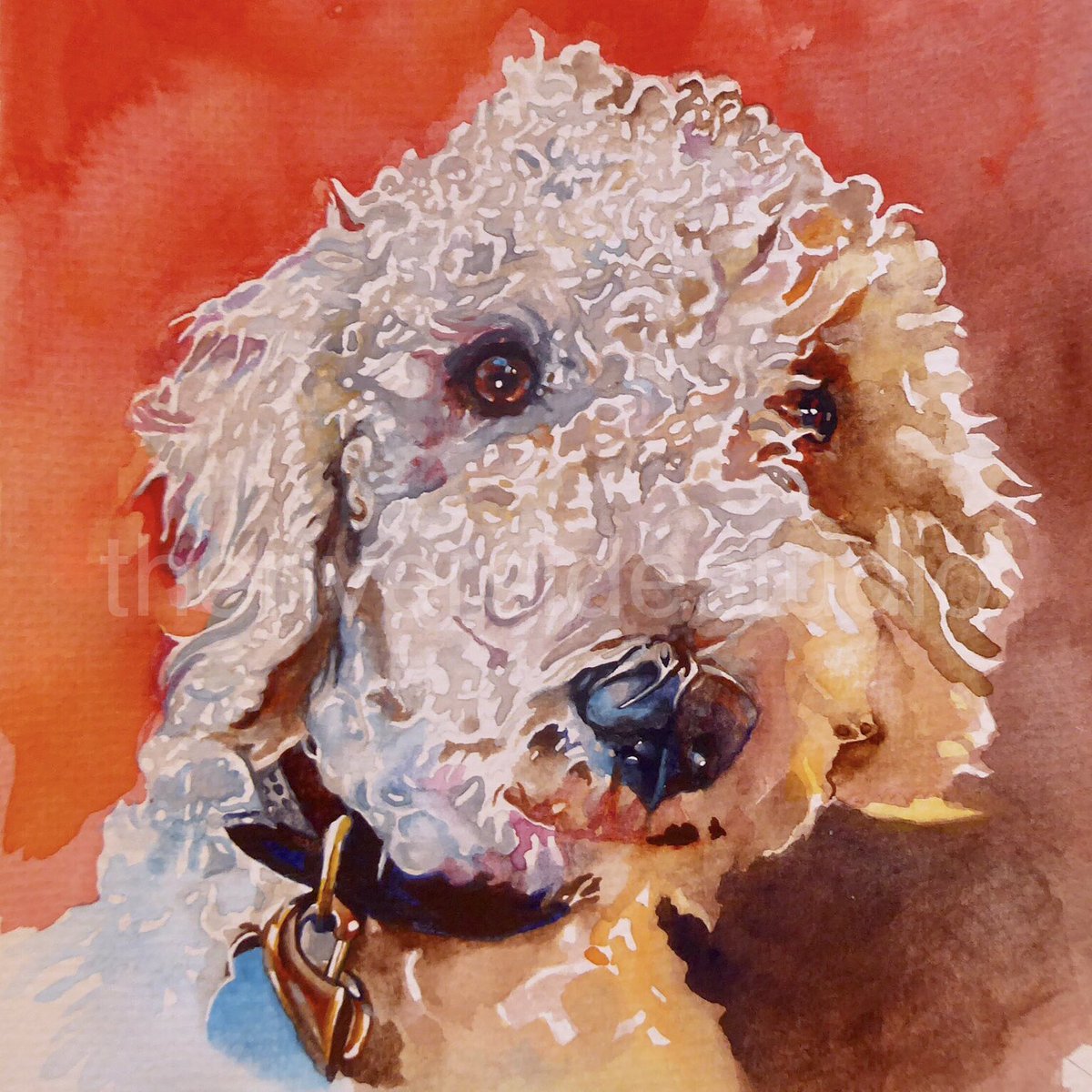 TheMabe's tweet photo. Introducing a new watercolour painting of Teo the Bedlington Terrier. I love painting this boy so much, those silky curls are certainly a challenge! 

Prints of him are available online at https://t.co/Rr10wPJagW 

#bedlingtonterrier #ArtLoversCommunity #vivdykesart https://t.co/SQS5JUS7QW