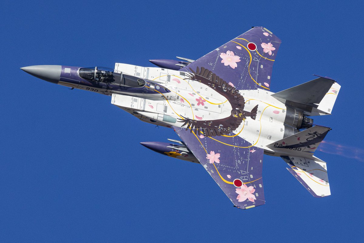 F-15 特別塗装機による機動飛行 気持ちの良い青空に恵まれて良かった