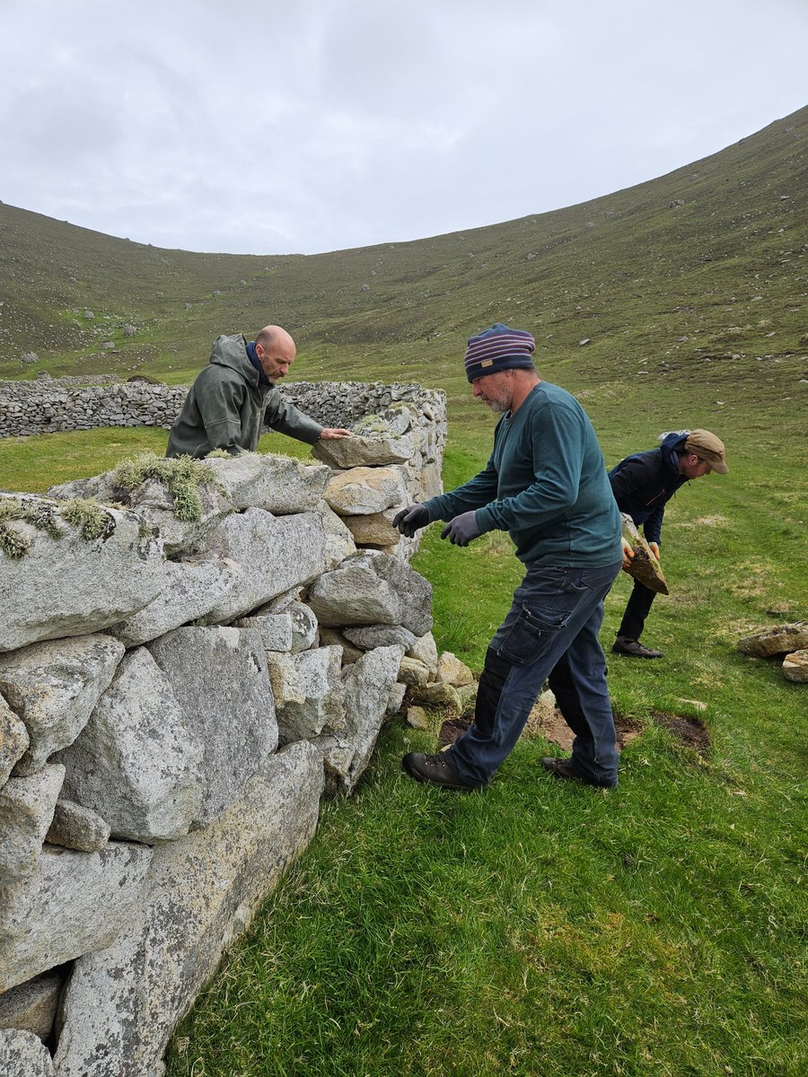 Three wise men - bearing the gift of drystane dyking.  Every year there are dykes and cleits to repair and we couldn't do it without these skilled craftsmen