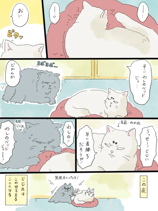 疲れた人に夜食を届ける出前店
天国シリーズ「じじ丸、最期の夜」(1/3)
※泣けません…🙇‍♂️ 
