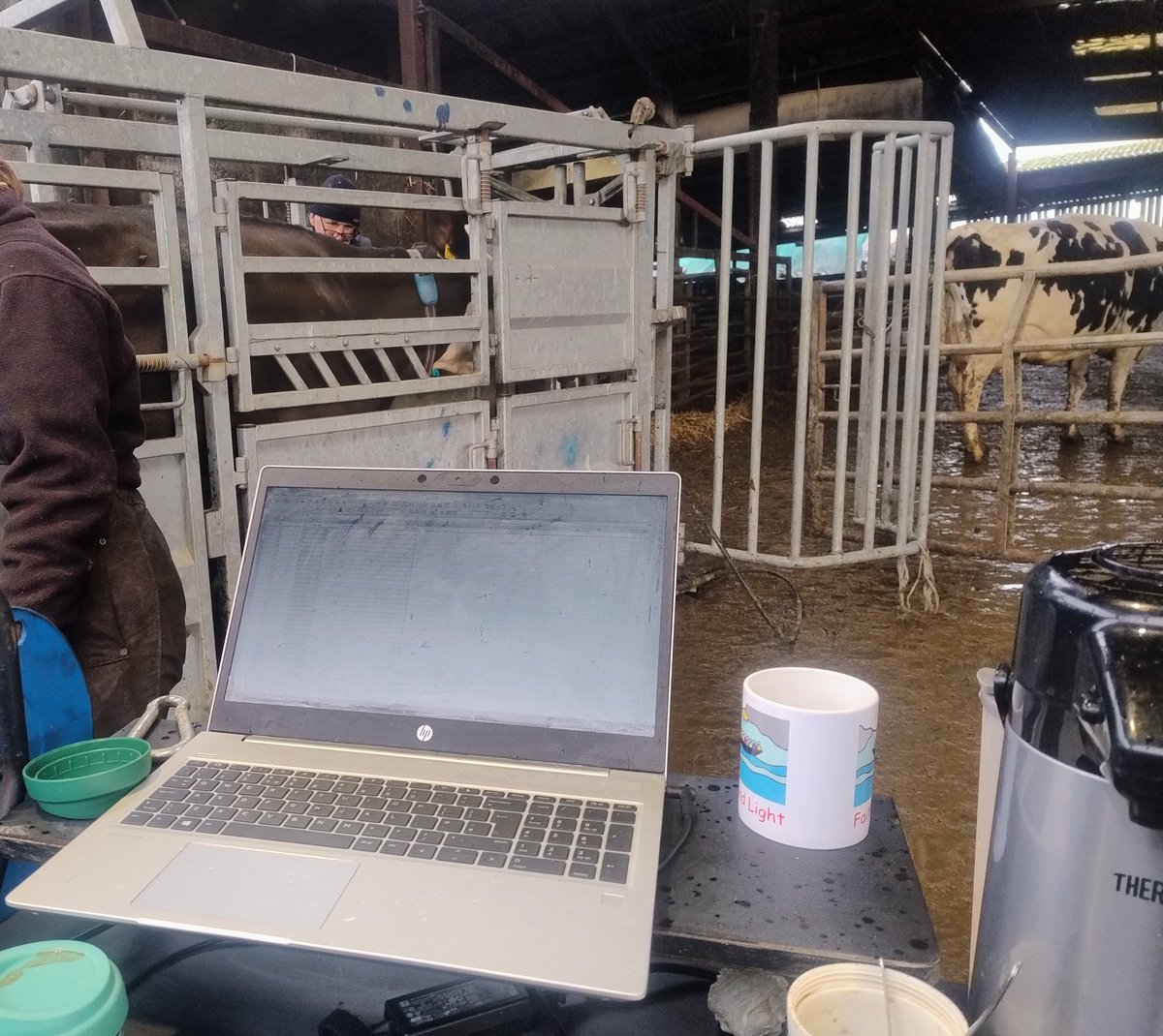 Matt Ford tweet media