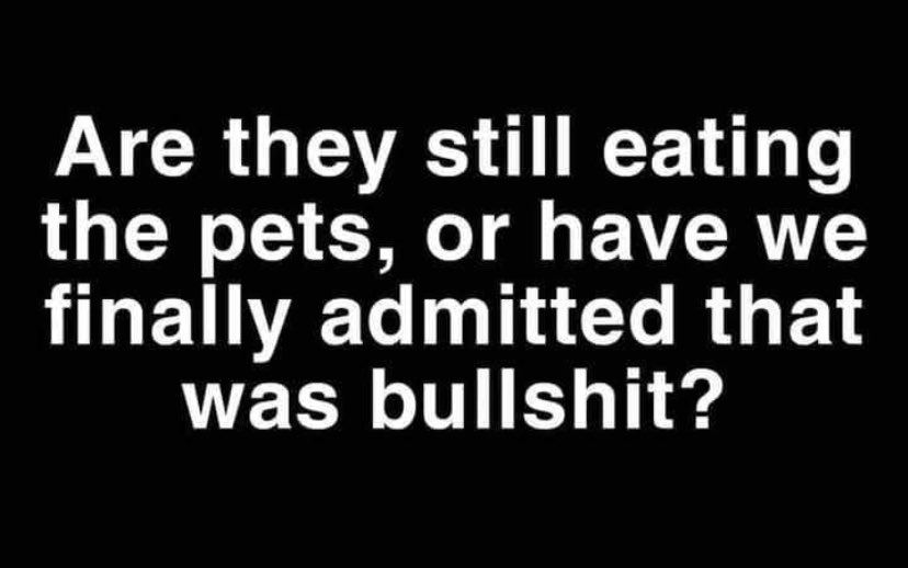 AnnieForTruth's tweet image. 