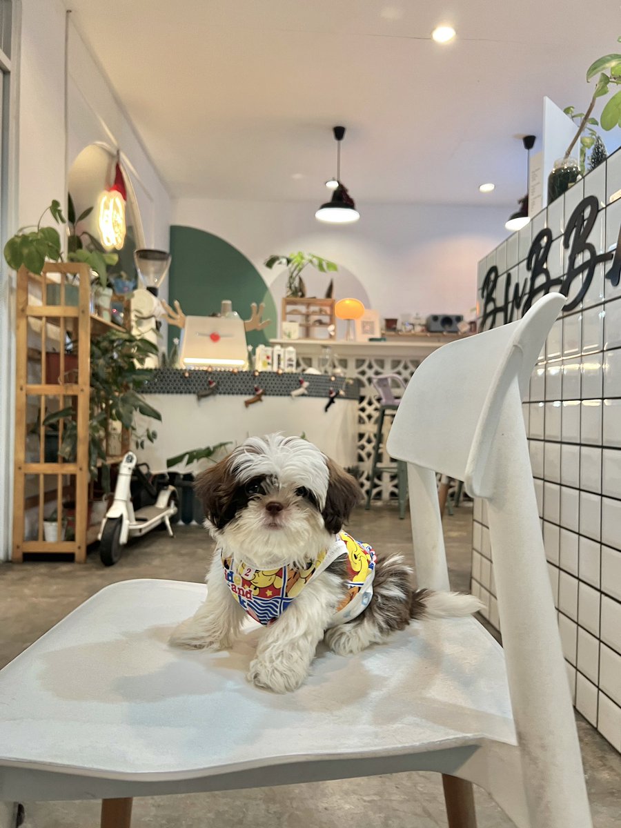 jadeym_'s tweet photo. my bb so cute 🥹 https://t.co/HyDM8UFBo2