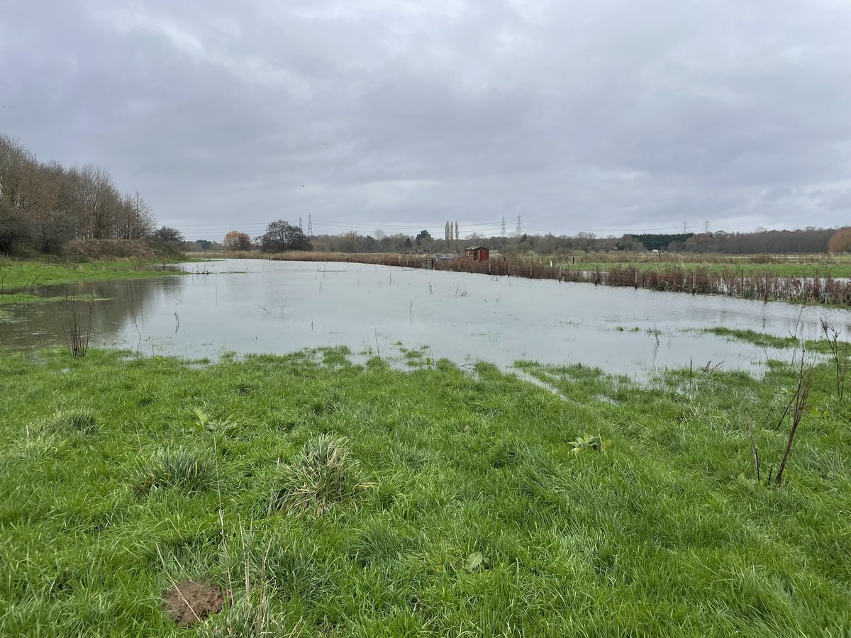 Not quite sure how I’m supposed to get to the pump house!! #water #irrigation #suffolk