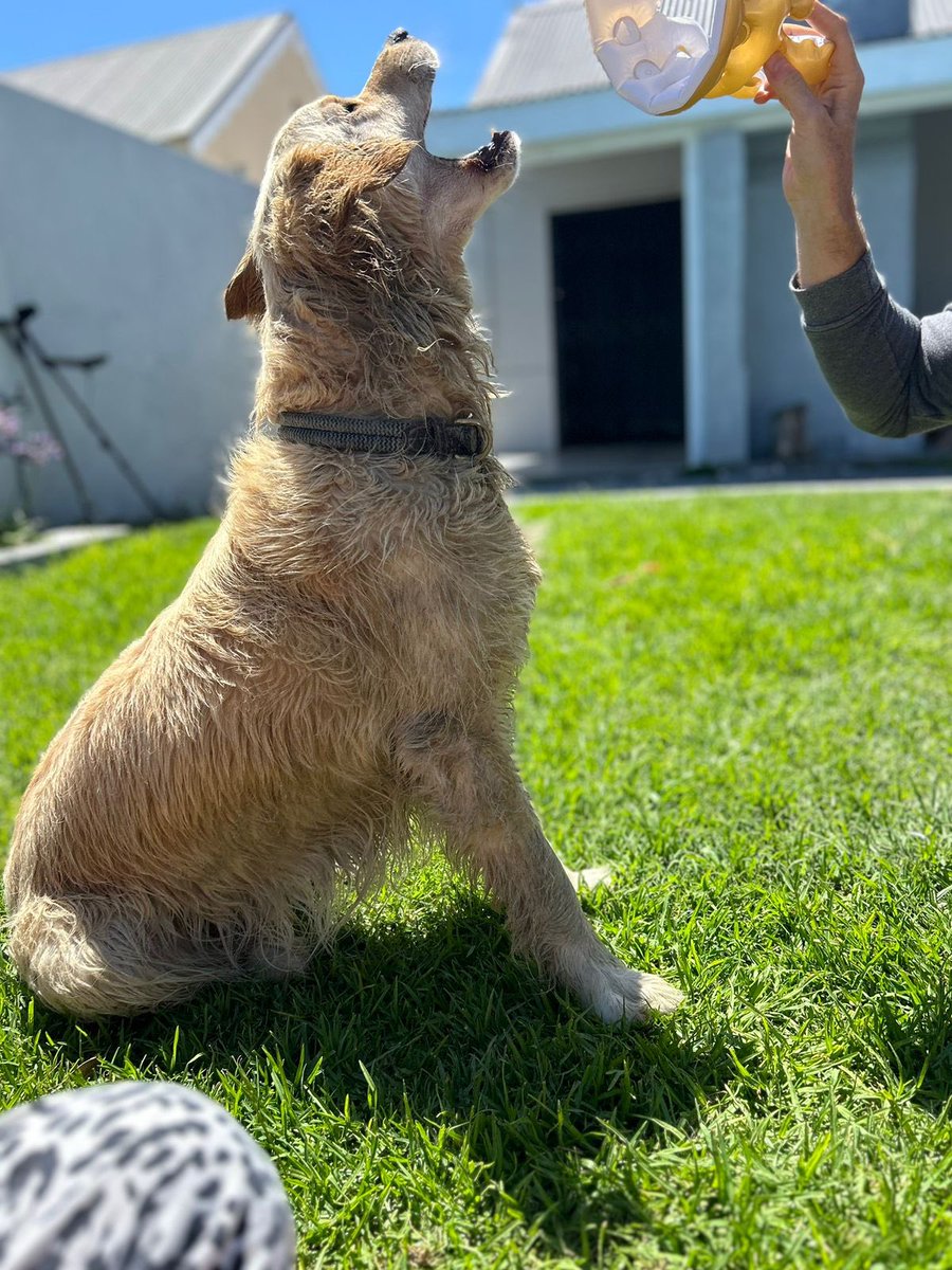 Angel Campey tweet media