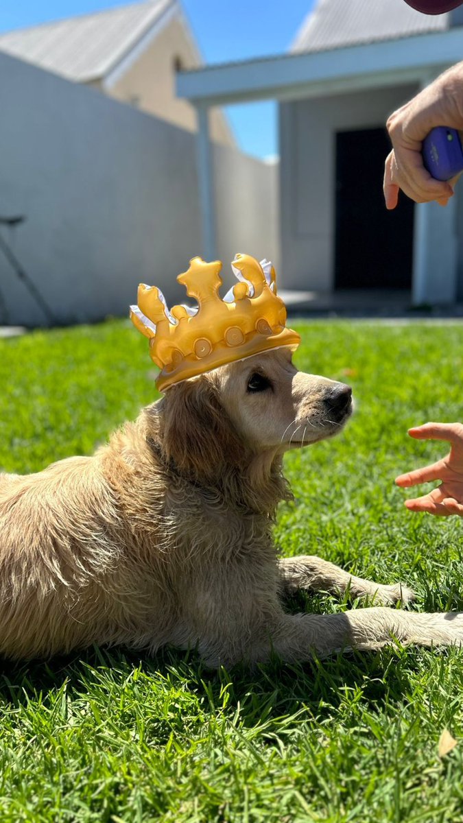 Angel Campey tweet media